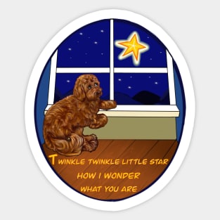 Nursery rhyme twinkle twinkle little star  Cavapoo puppy dog  - cavalier King Charles spaniel poodle Sticker